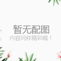 CM-100AL/CM200ML 标准的胀管器